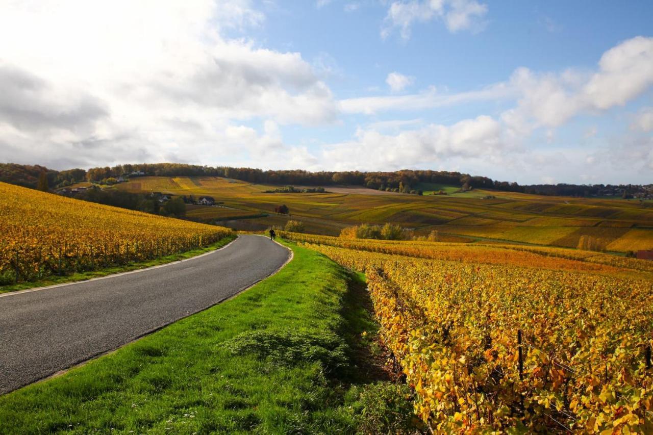 Hostellerie Briqueterie & Spa Champagne Vinay  Luaran gambar Vineyards in the Moselle valley